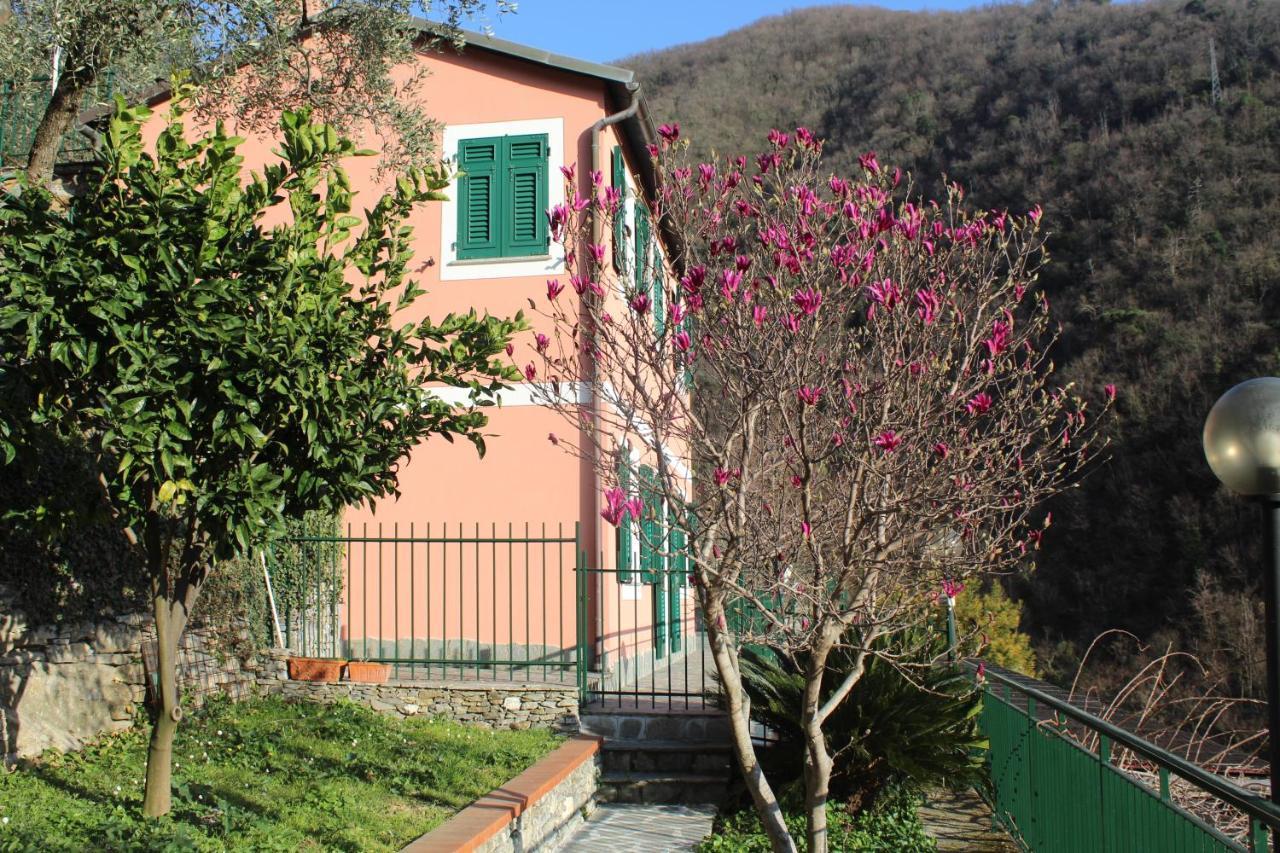 Villa Casa Laura Zoagli Exterior foto