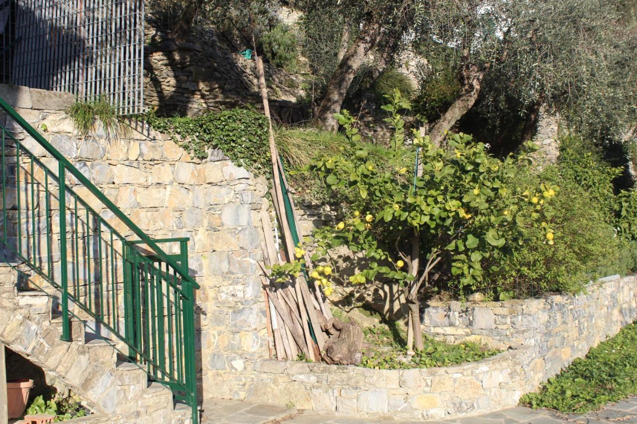Villa Casa Laura Zoagli Exterior foto